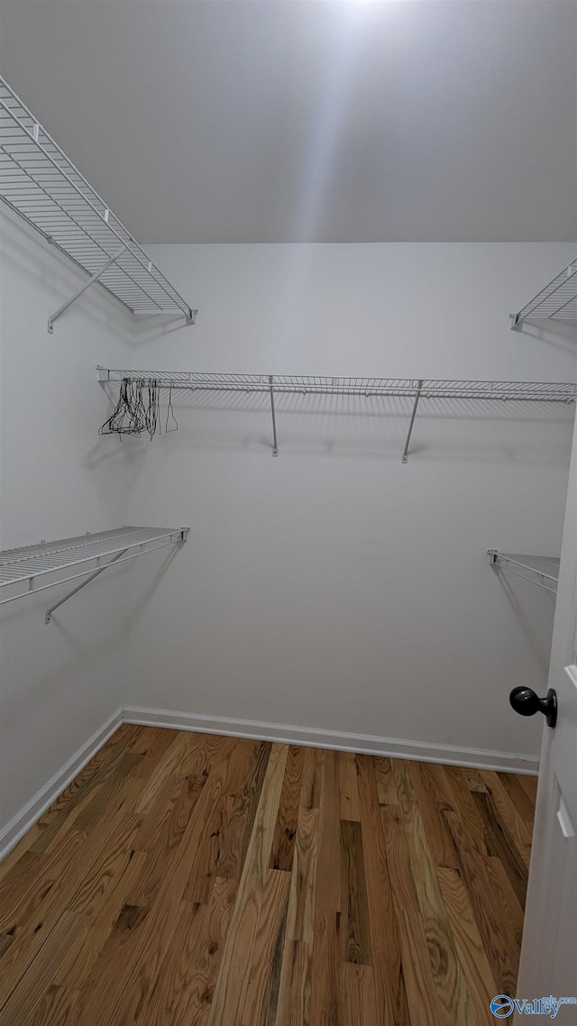 spacious closet featuring wood-type flooring