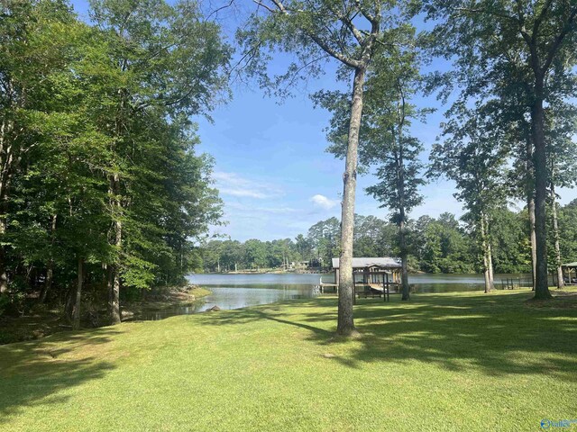 view of yard with a water view and a boat dock