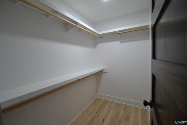 spacious closet featuring light hardwood / wood-style floors