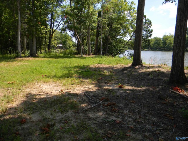 39-40NICKELSCV County Road 182, Cedar Bluff AL, 35959 land for sale