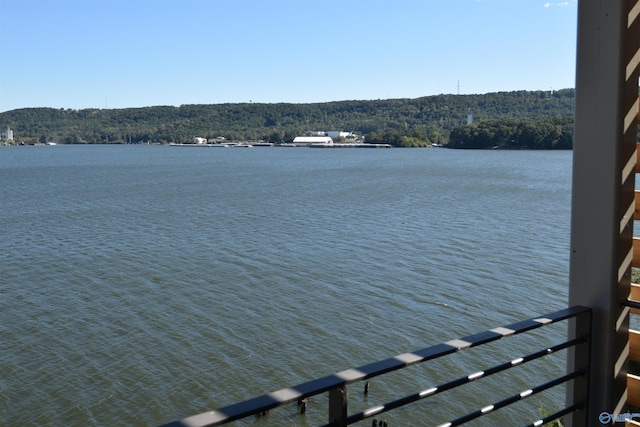 view of water feature