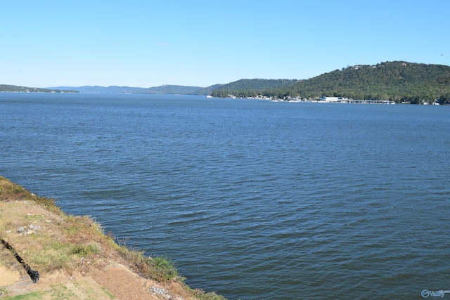 view of water feature featuring a mountain view