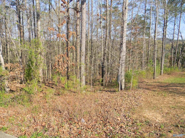 LOT16 Cade Cir, Leesburg AL, 35983 land for sale