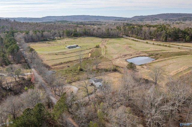 bird's eye view with a wooded view and a rural view