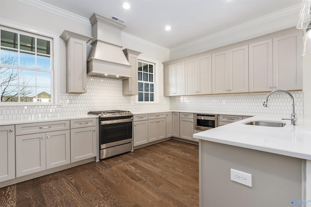 kitchen featuring sink, appliances with stainless steel finishes, dark hardwood / wood-style floors, ornamental molding, and custom exhaust hood