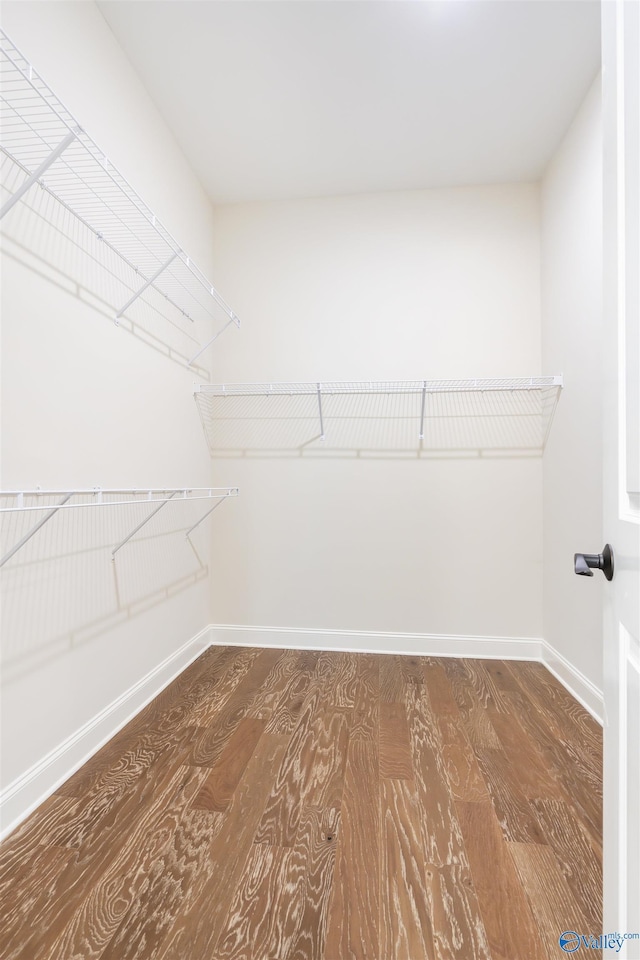 spacious closet with hardwood / wood-style floors