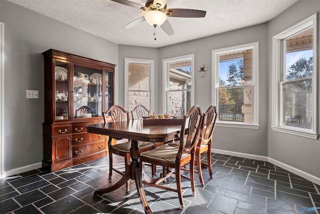 dining room with a textured ceiling and ceiling fan