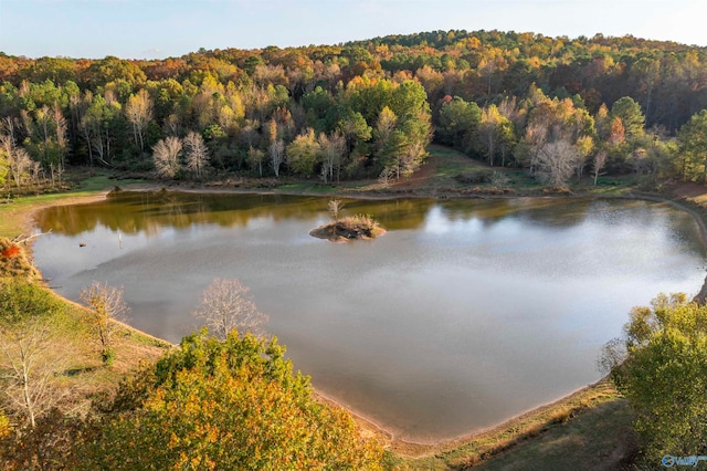 property view of water