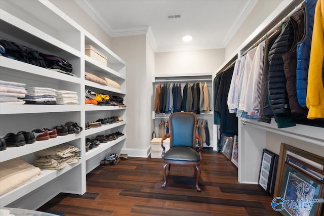 spacious closet featuring dark wood-type flooring