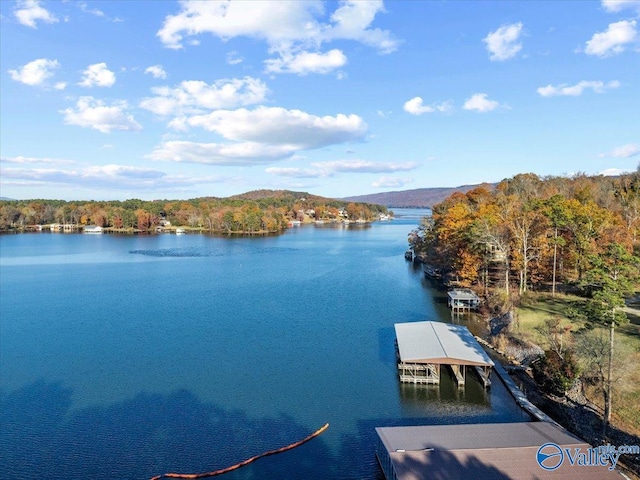 dock area with a water view