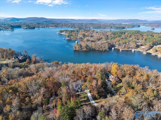 birds eye view of property featuring a water and mountain view