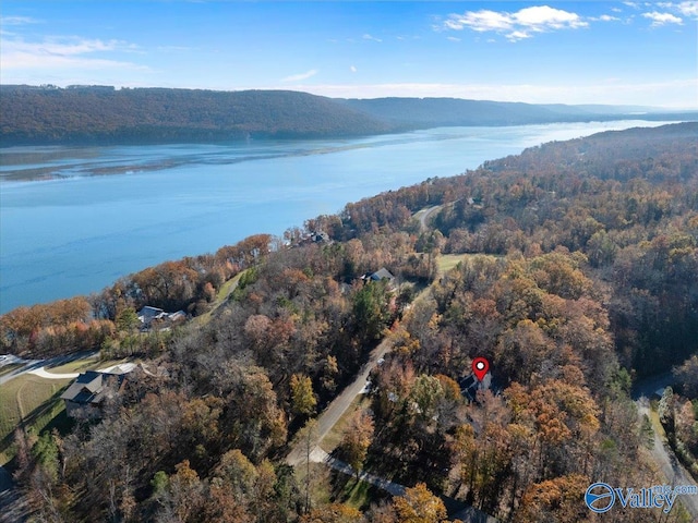 birds eye view of property featuring a water and mountain view