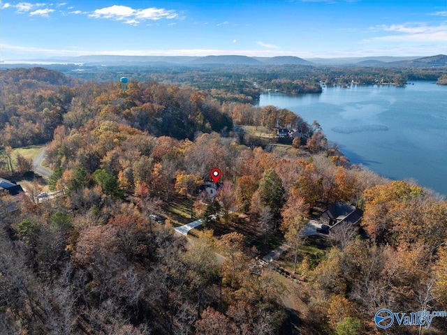 drone / aerial view with a water and mountain view