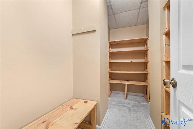 walk in closet with a paneled ceiling and light colored carpet