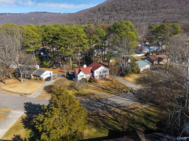 drone / aerial view featuring a mountain view