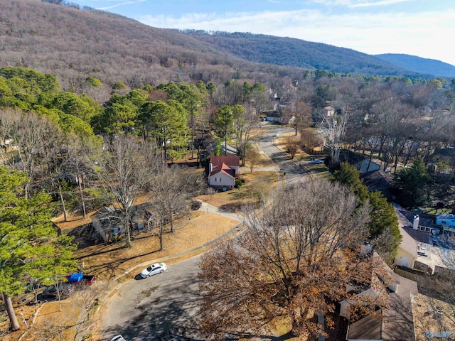 birds eye view of property featuring a mountain view