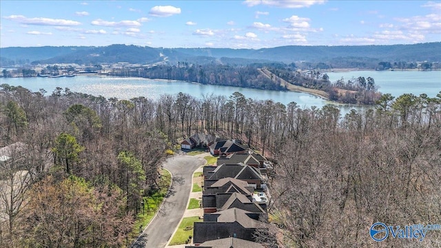 bird's eye view with a forest view and a water view