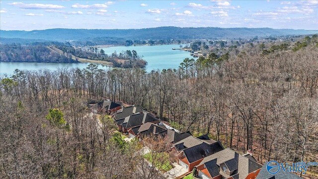 birds eye view of property with a wooded view and a water view