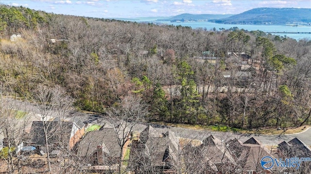 birds eye view of property with a forest view and a water and mountain view