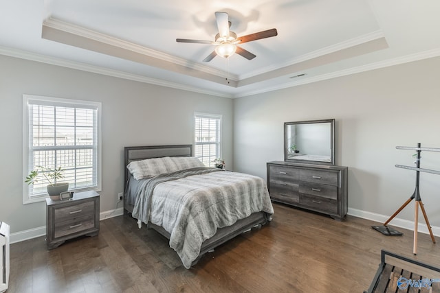 bedroom featuring a tray ceiling, multiple windows, ceiling fan, and dark wood-type flooring