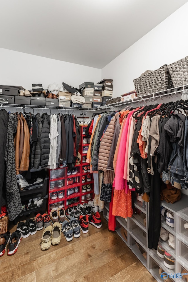 spacious closet with hardwood / wood-style flooring