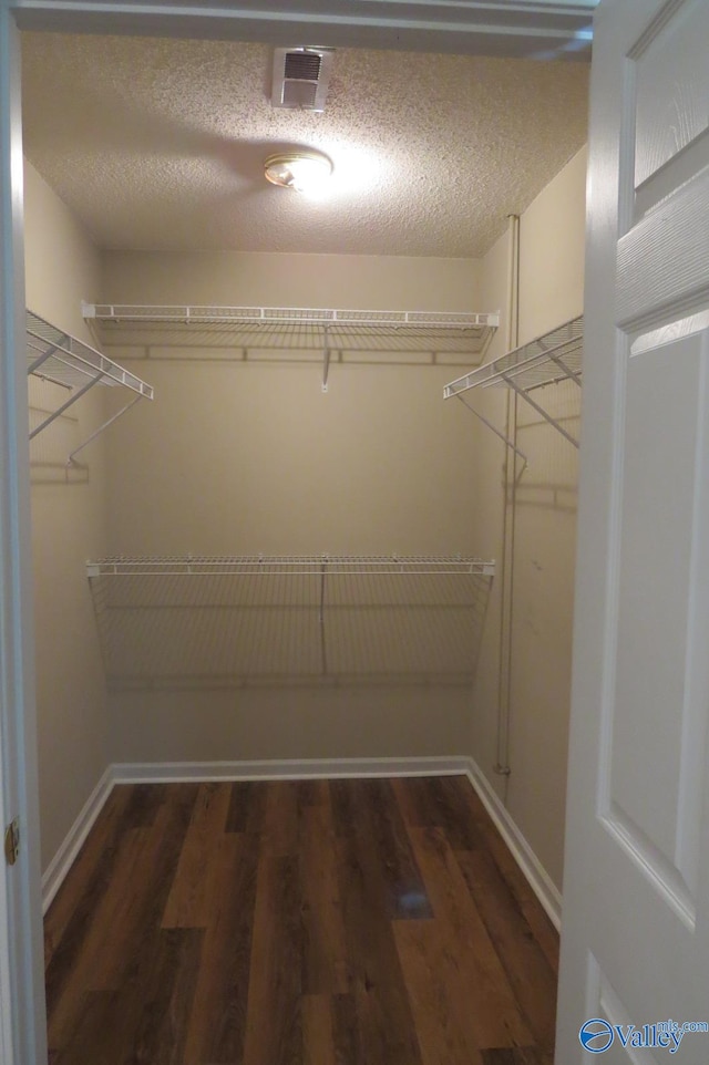 walk in closet with dark hardwood / wood-style floors