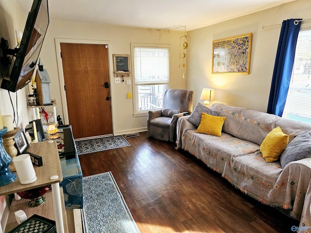 living room featuring dark wood-type flooring