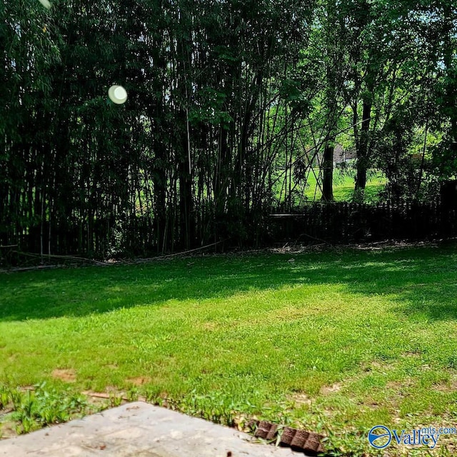 2340 Pine Lake Trl, Arab, AL 35016 - view of yard