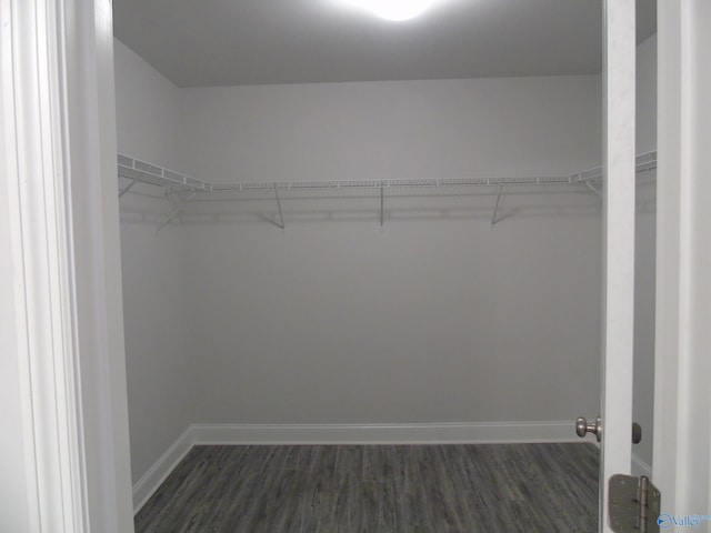 walk in closet with dark wood finished floors