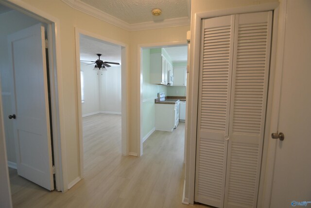 hallway with crown molding, light wood-style floors, baseboards, and a textured ceiling