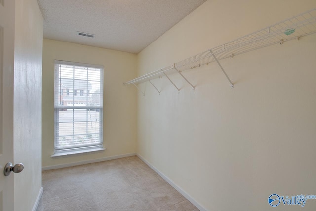 spacious closet featuring visible vents and light colored carpet