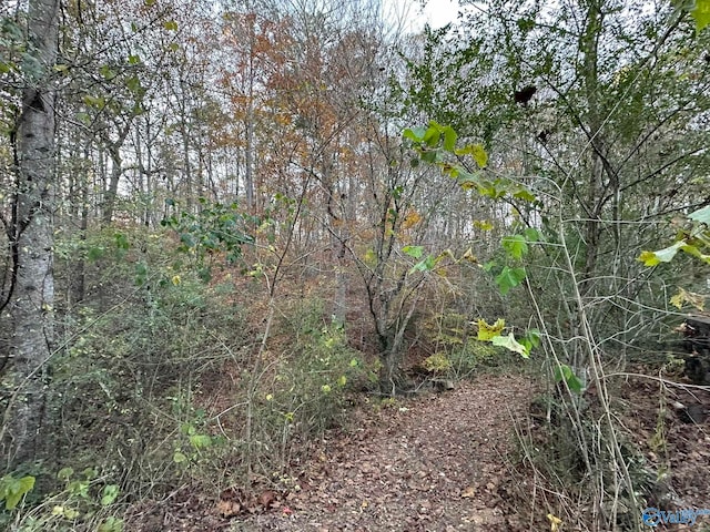 view of landscape