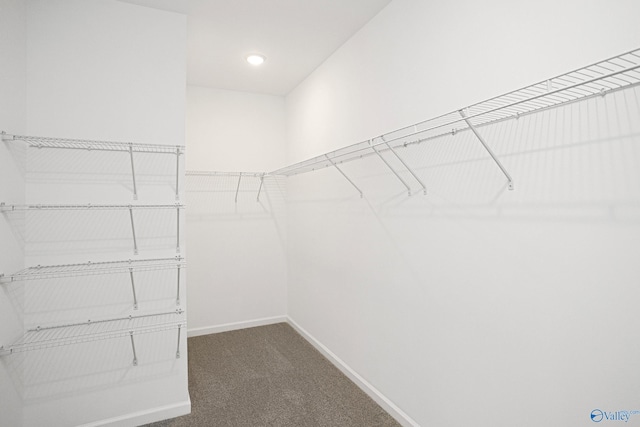 walk in closet featuring dark colored carpet