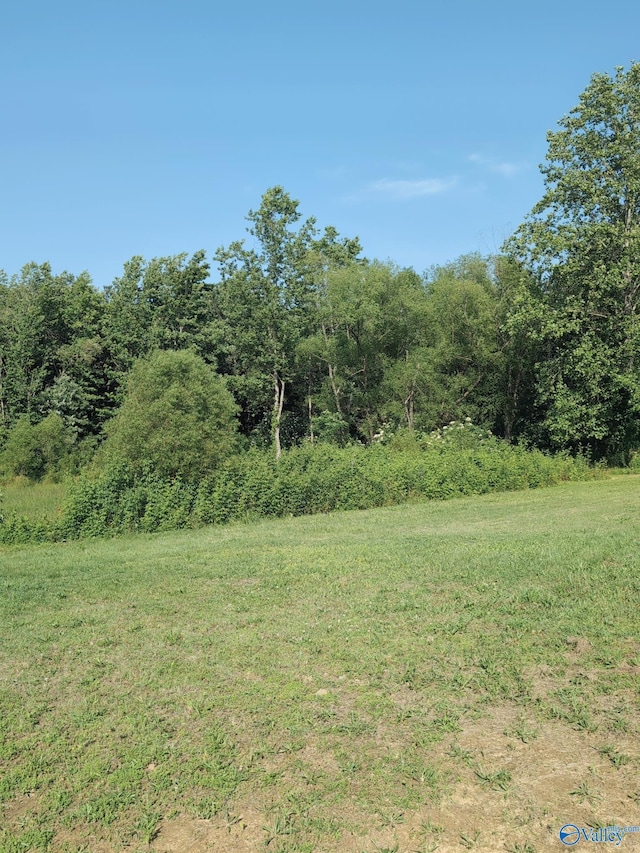6321 Willow Rd, Ider, AL 35981 - view of yard