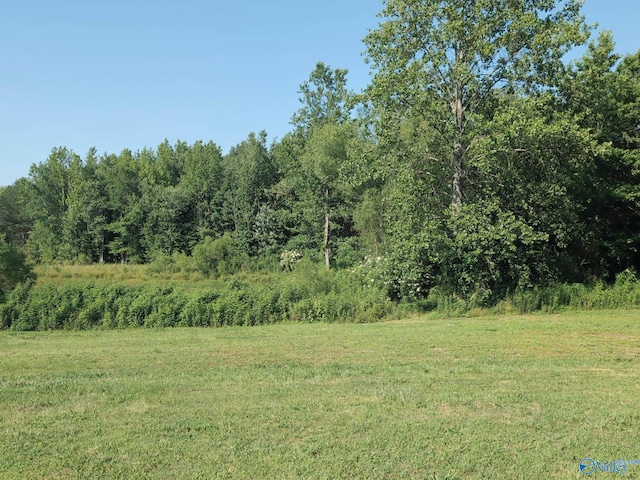 6321 Willow Rd, Ider, AL 35981 - view of green lawn