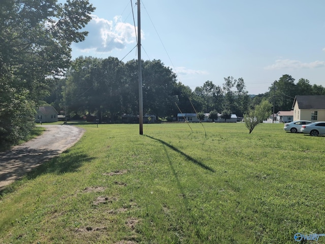 6321 Willow Rd, Ider, AL 35981 - view of yard