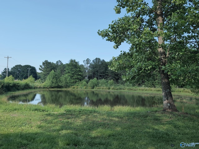 6321 Willow Rd, Ider, AL 35981 - water view