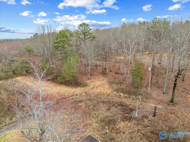 Listing photo 2 for 1782 County Road 78, Pisgah AL 35765