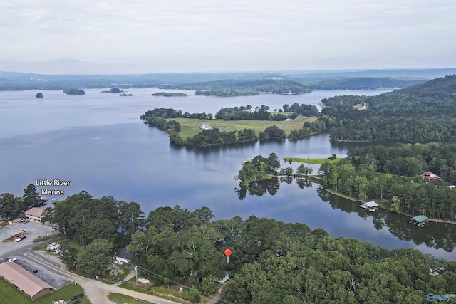 1700 County Road 102, Cedar Bluff, AL 35959 - view of property location featuring a large body of water