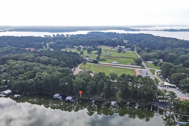 1700 County Road 102, Cedar Bluff, AL 35959 - aerial overview of property's location featuring a nearby body of water