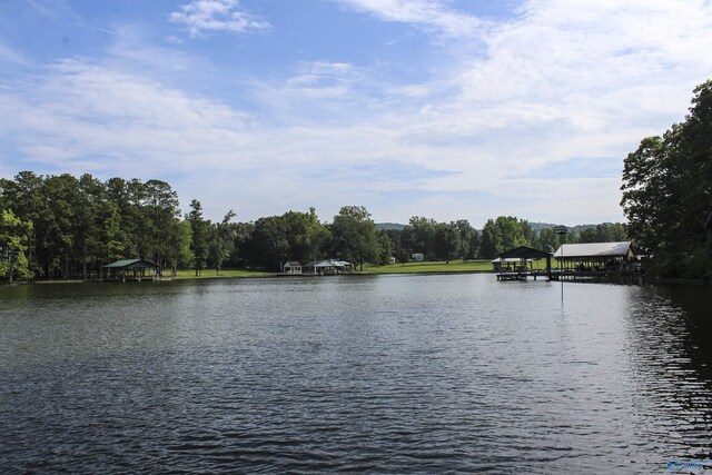 1700 County Road 102, Cedar Bluff, AL 35959 - water view