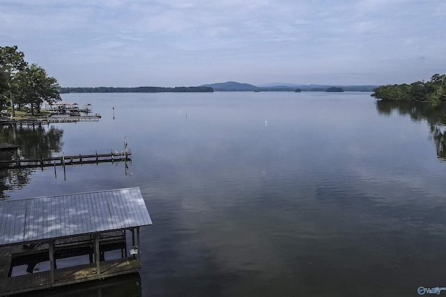 1700 County Road 102, Cedar Bluff, AL 35959 - dock area with a water view