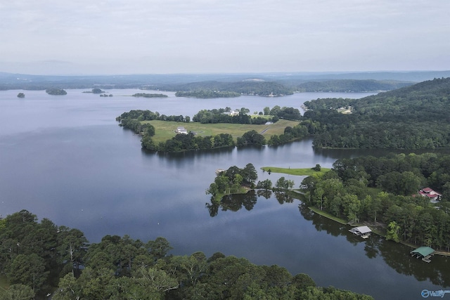 1700 County Road 102, Cedar Bluff, AL 35959 - water view with a heavily wooded area
