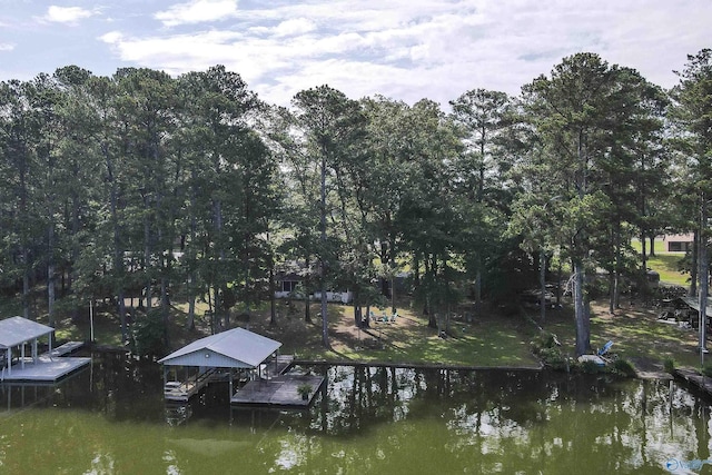 1700 County Road 102, Cedar Bluff, AL 35959 - dock with a water view
