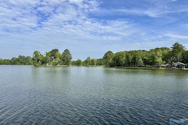 1700 County Road 102, Cedar Bluff, AL 35959 - water view