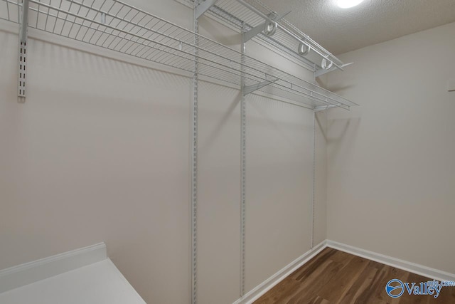 spacious closet featuring dark wood-style flooring