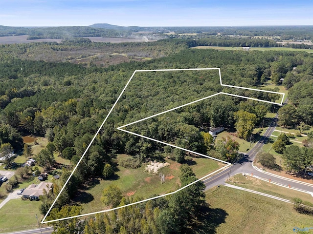 13ACRES Beaver Dam Rd, Toney AL, 35773 land for sale