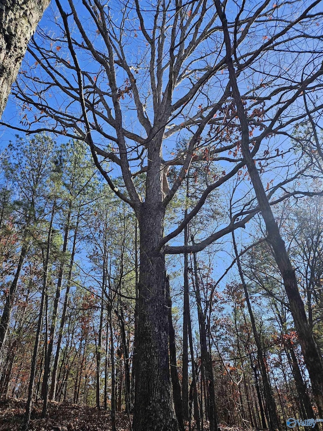 1340 County Road 45, Piedmont, AL 36272