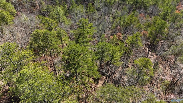 1340 County Road 45, Piedmont, AL 36272