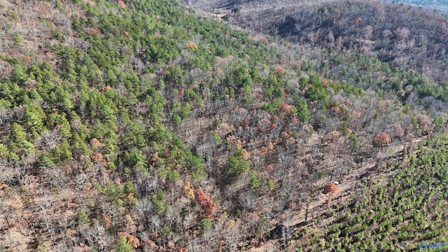 1340 County Road 45, Piedmont, AL 36272